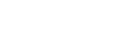 Blixem Wear logo with a white asterisk symbol on a clear background