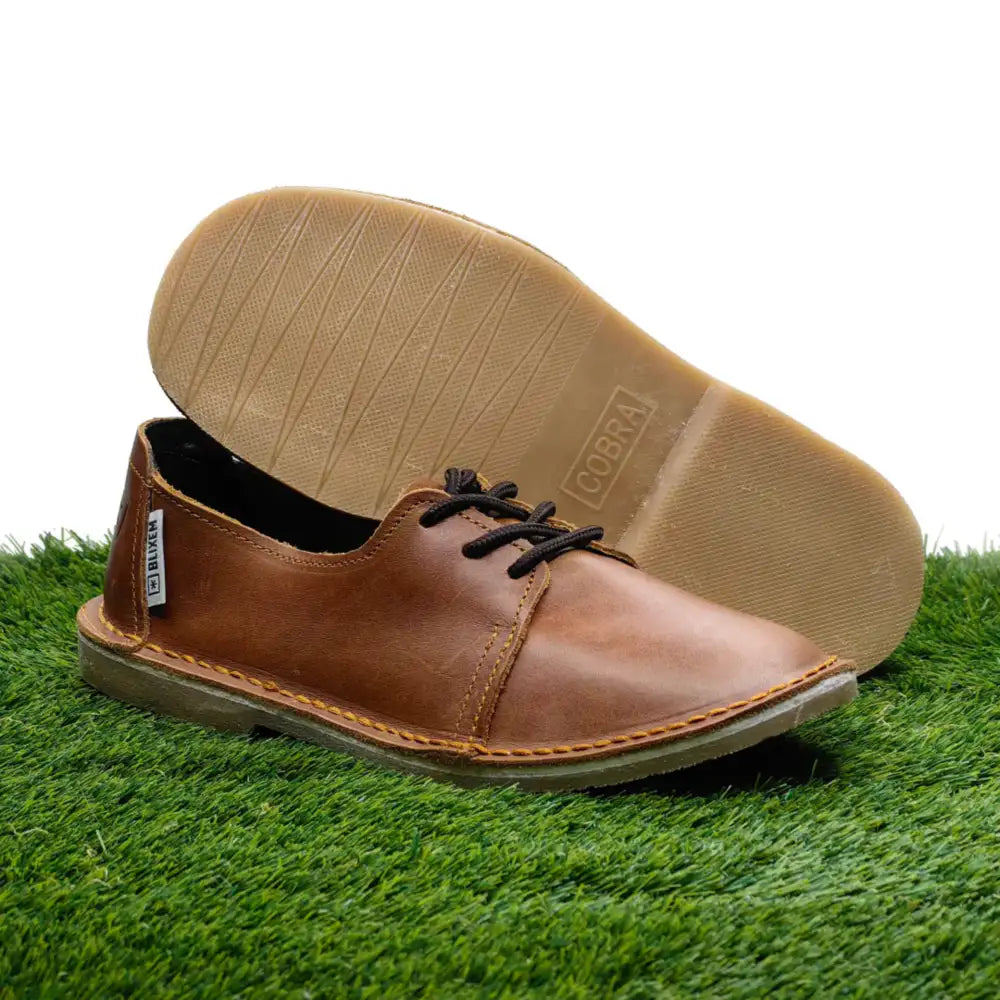 Brown leather shoe with a visible brand logo on a grassy background